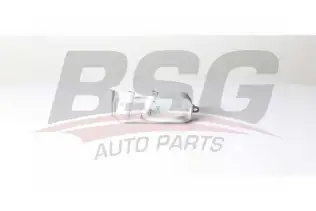 BSG 15506022 Yağ Soğutucusu