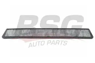 BSG 15145009 Polen Filtresi