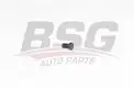 BSG 15230001 Karter Tapası