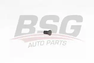 BSG 15230001 Karter Tapası