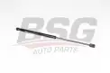 BSG 40980020 Bagaj Amortisörü