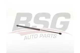 BSG 60980029 Kaput Amortisörü Sol