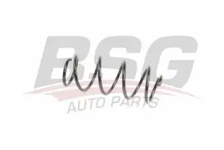 BSG 90305011 Helezon Yayı Ön