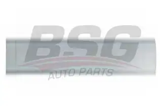 BSG 30924048 Kapı Bandı Arka Sağ