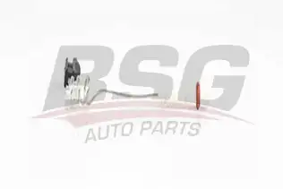 BSG 60201001 Fren Balata Fısı Ön