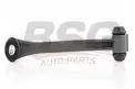 BSG 60310166 Viraj Askı Rotu Arka