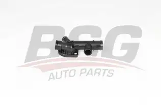 BSG 90126063 Su Flanşı