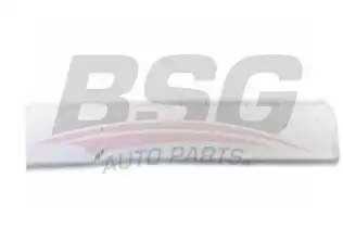 BSG 65925026 Kapı Bandı Arka Sağ