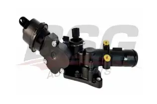 BSG 60125026 Termostat