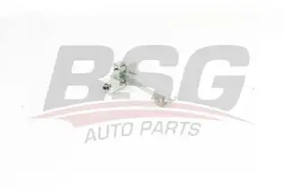 BSG 75975001 Kapı Gergisi Ön