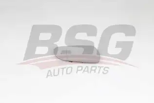 BSG 90910062 Ayna Camı Sağ