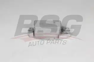 BSG 15506035 Yağ Soğutucusu
