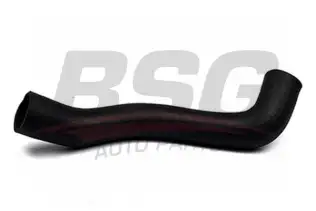BSG 30720001 Radyatör Hortumu Üst
