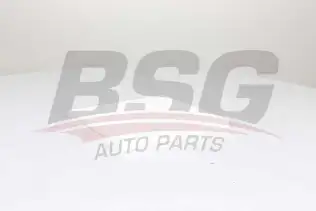 BSG 40145019 Polen Filtresi