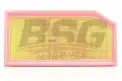 BSG 60135008 Hava Filtresi