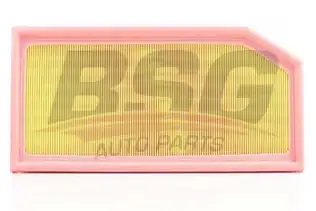 BSG 60135008 Hava Filtresi