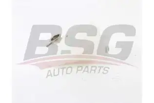 BSG 60550010 Radyatör Yedek Su Deposu