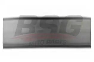 BSG 30924052 Kapı Bandı Takım