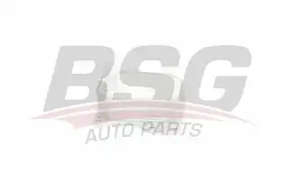 BSG 30506004 Yağ Soğutucu Radyatörü