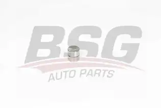 BSG 90122021 Supap Kadehı Emme