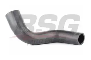 BSG 16720015 Radyatör Hortumu Alt