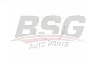 BSG 90910013 Ayna Camı Sol