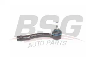 BSG 40310068 Rot Başı Sol