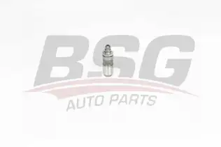 BSG 40122028 Supap Itıcısı