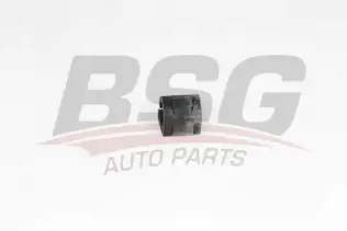 BSG 75700051 Viraj Demir Lastiği Ön