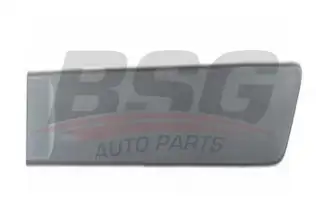 BSG 30924026 Kapı Kusağı Arka Sol