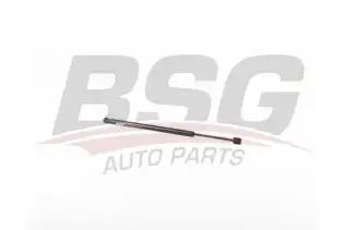 BSG 15980075 Bagaj Amortisörü