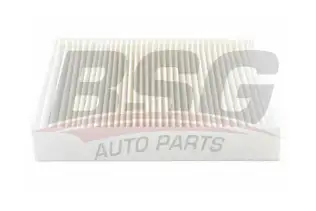 BSG 70145016 Polen Filtresi