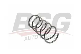 BSG 70305002 Helezon Yayı Ön
