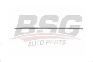 BSG 90924042 Kapı Bandı Ön Sağ