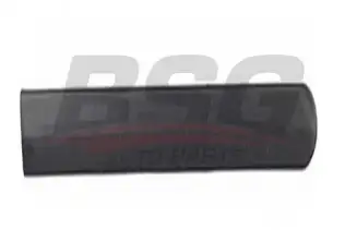 BSG 65924028 Kapı Bandı Arka Sol