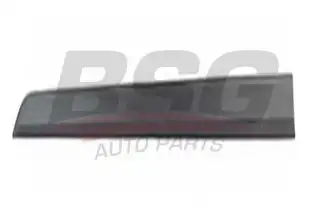BSG 65925042 Kapı Bandı Ön Sol