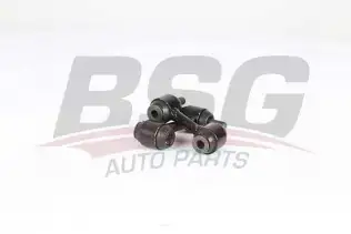 BSG 65700098 Viraj Demir Burcu Arka