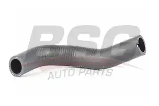 BSG 65720119 Termostat Hortumu
