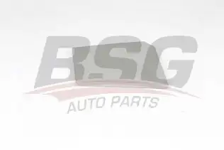 BSG 70971001 Yakıt Depo Kapağı Dış