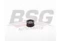 BSG 40615010 V Kayış Gergi Rulmanı