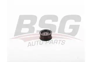 BSG 40615010 V Kayış Gergi Rulmanı