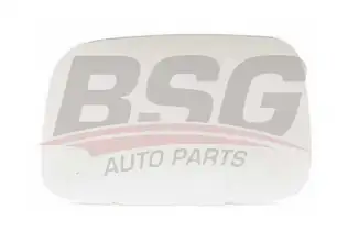 BSG 90910003 Ayna Camı Sağ