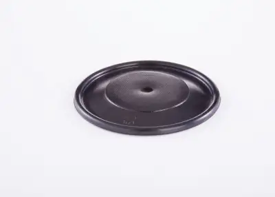 BOSCH 2420503002 Diyafram - 15. Görsel