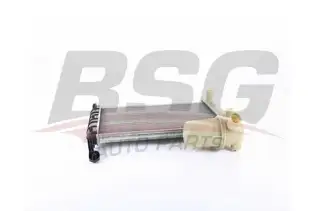 BSG 25520008 Su Radyatörü