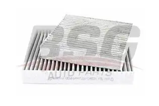 BSG 70145012 Polen Filtresi