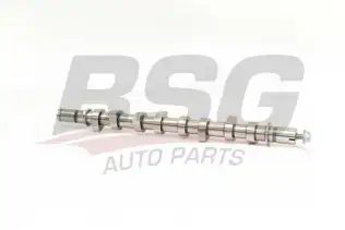 BSG 75108003 Eksantrik Mili
