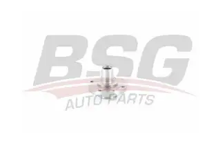 BSG 25600006 Porya Ön