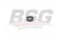 BSG 60615023 V Kayış Gergi Rulmanı