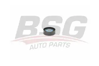 BSG 60615023 V Kayış Gergi Rulmanı