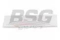 BSG 65924008 Kapı Bandı Arka Sol